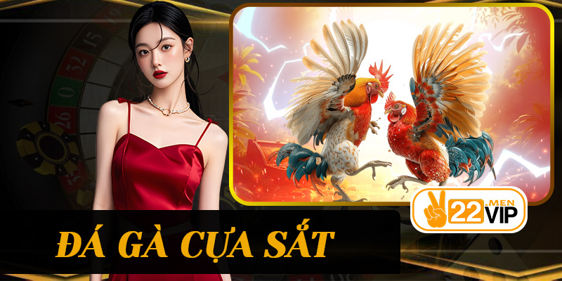 Đá Gà Cựa Sắt – Trải Nghiệm Kịch Tính Và Hấp Dẫn Tại 22vip