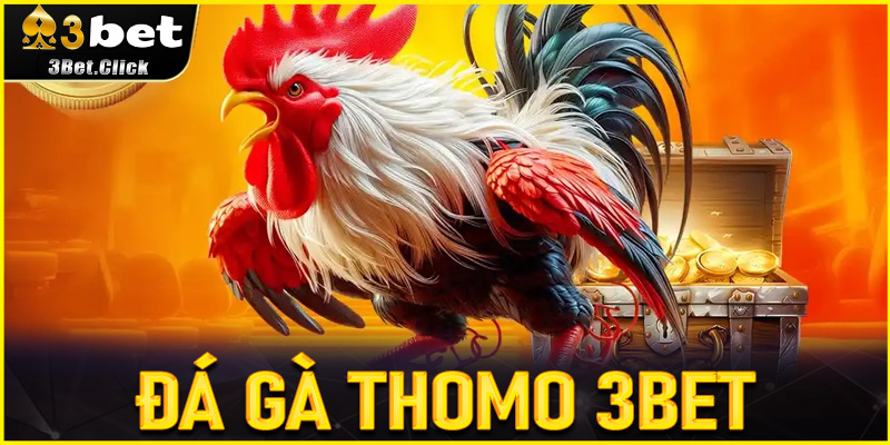 Đá Gà Thomo 3bet - Sân Chơi Cá Cược Đỉnh Cao